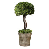 Preserved Ceramic Tree Topiary Planter