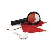 Magnifier 3 Diameter Plastic Frame