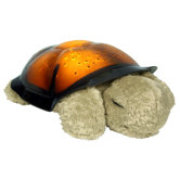 Twilight Turtle