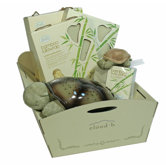 Twilight Turtle Holiday Gift Cradle