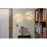 Gluc Small Three Light Wall / Ceiling Light