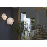 Nevo Wall / Ceiling Light