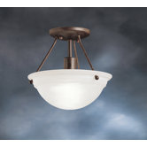 Swiss Passport 1 Light Semi Flush Mount