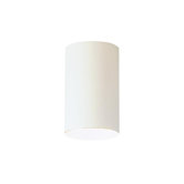 Cans and Bullets Outdoor Flush Mount in White