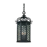 Los Olivos One Light Outdoor Medium Hanging Lantern in Old Iron