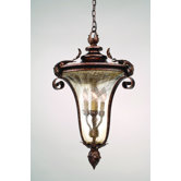 Pirouette 4 Light Outdoor Hanging Lantern