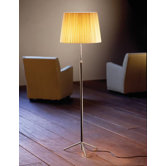 Pie de Sal&oacute;n Floor Lamp