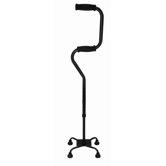 Sit-to-Stand Cane