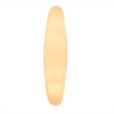 Zenith One Light Wall Sconce in Amber