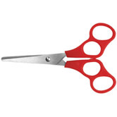 Scissor 5 Inch Stainless Plastic
