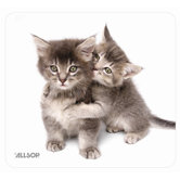 Naturesmart Mouse Pad - Kittens