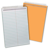 Gregg Ruled Steno Book