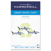 Great White Recycled Copy Paper, 92 Brightness, 20Lb, 500 Shts/Ream