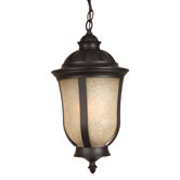 Frances II Medium Exterior Hanging Lantern in Oiled Bronze