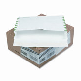 Tyvek Booklet Expansion Mailer, 1st Class, 10 x 13 x 2, White, 18lb, 100/carton