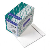 Catalog Envelope, 9 x 12, White, 250/box