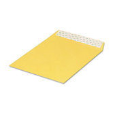 Redi Strip Catalog Envelope, 100/Box