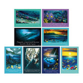 Wy Save The Ocean Bulletin Board