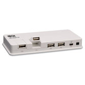 10-Port Usb 2.0 Hub