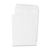 Self-Seal Catalog Envelope, 100/Box
