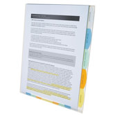 Professional View-Tab, Color Sorters, 5-Tab, 11-1/2"x9-1/2", Clear