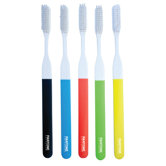 Pantone Toothbrush