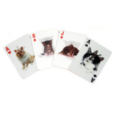 Kikkerland For Pet People