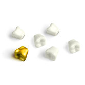 Teeth Magnets (Set of 6)