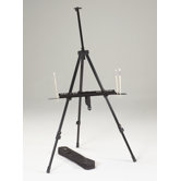 Integra Field and Studio Easel