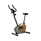 Upright Bike