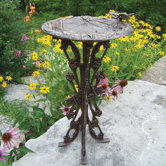 Butterfly Dragonfly Bird Bath