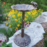 Frog Bird Bath