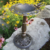 Rose Bird Bath