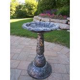 Rock Bird Bath