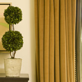 Preserved Boxwoods Preserved Greens Willow Stems Ball