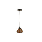 1 Light Pendant