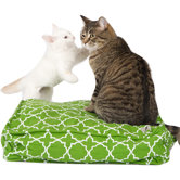 Title Track Square Cat Duvet