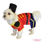 Toy Soldier Dog Costume