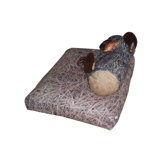 Squirrel Dog Bed and Toys Set