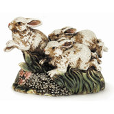 Racing Rabbits
