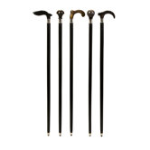 Soren Walking Stick (Set of 5)