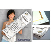 NHL 2009 Stanley Cup Mega Ticket - Pittsburgh Penguins