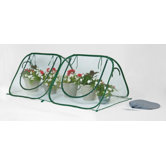 StarterHouse Clear PVC Mini Greenhouse