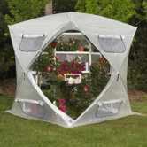 Bloomhouse Polyethylene Greenhouse