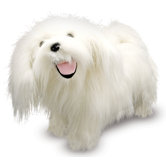 Maltese Plush Stuffed Animal