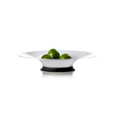 Stainless Steel Dish