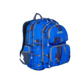 Airplane Kid's Multi Pocket Laptop Backpack