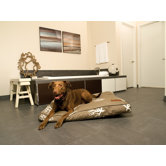 Reef Rectangular Pillow Dog Bed