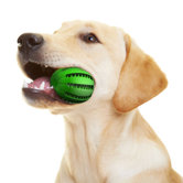 Apple Dog Chew Toy