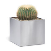 Greens Planter With Plastic Liner